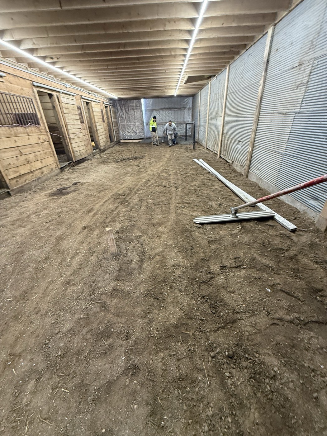 Before: dirt floor barn interior prepped for concrete in Long Prairie MN