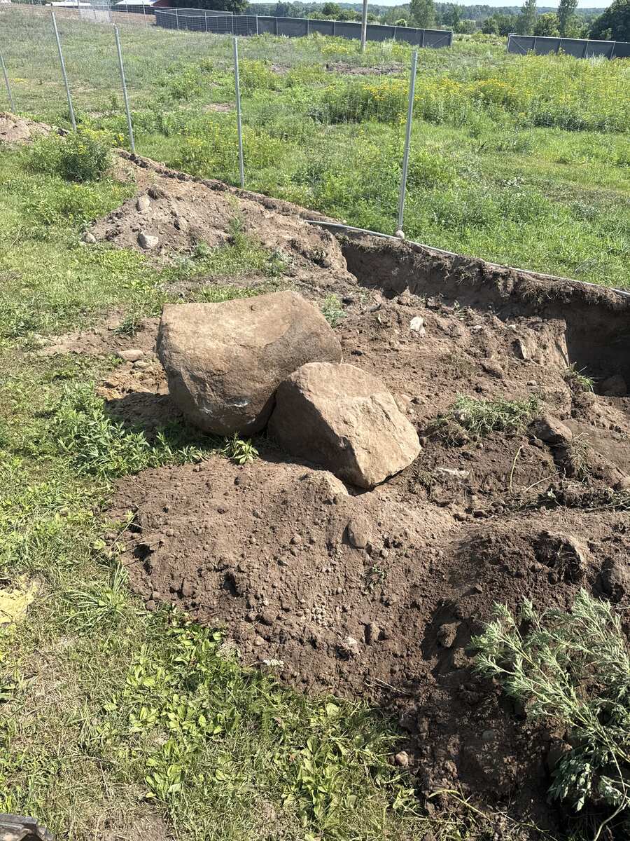Tree Removal project — Revisions Unlimited serves Becker MN