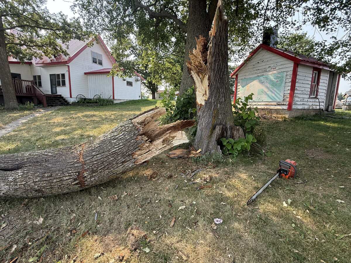 Tree Removal project — Revisions Unlimited serves Becker MN
