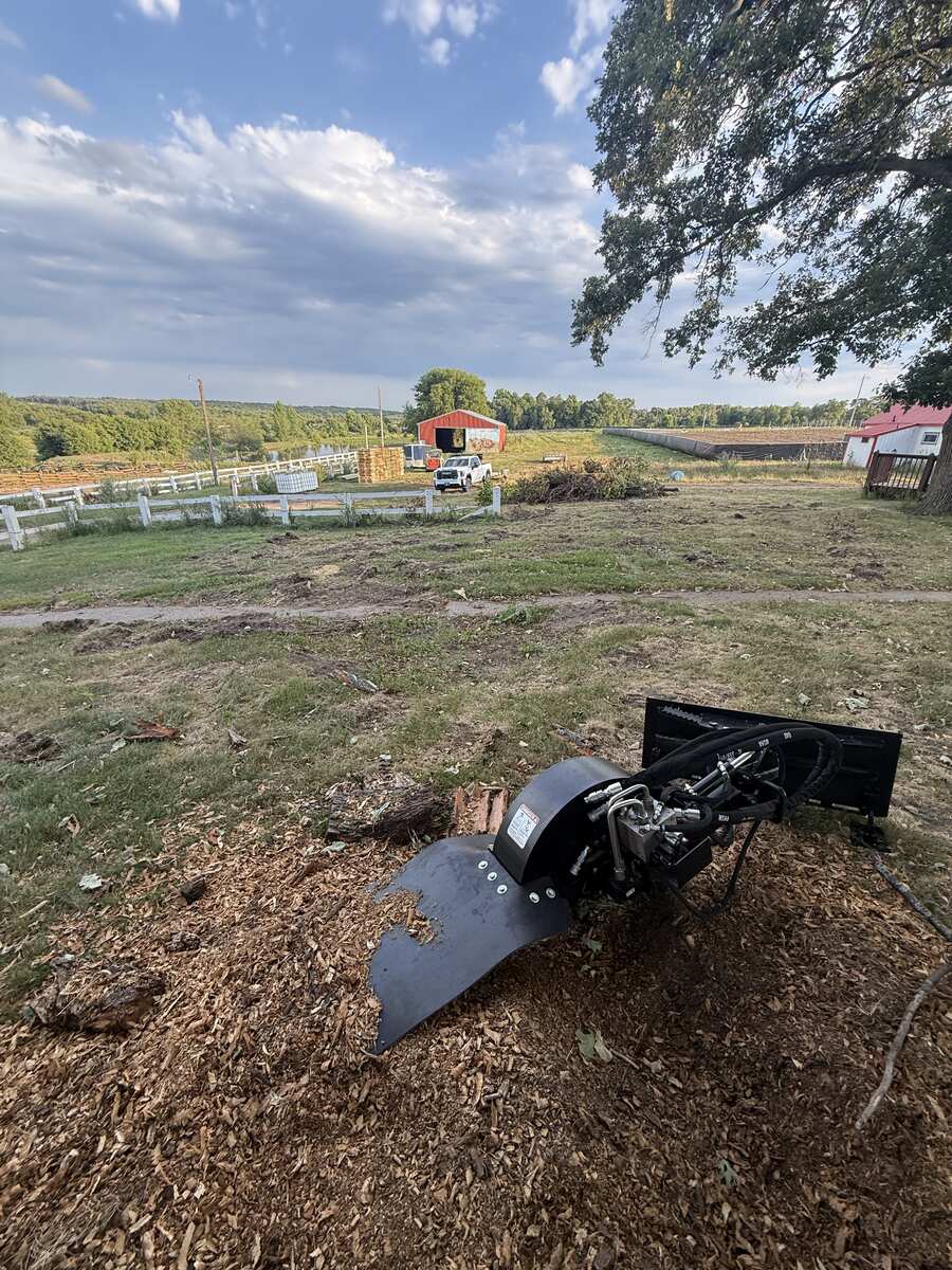 Tree Removal project — Revisions Unlimited serves Central Minnesota MN