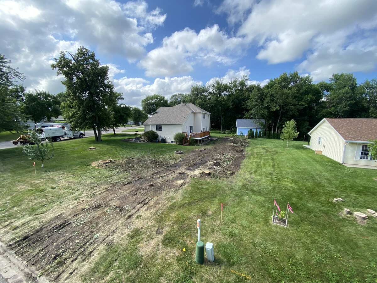 After: tree line cleared to bare ground, brush hauled and stumps cut flush in Central MN