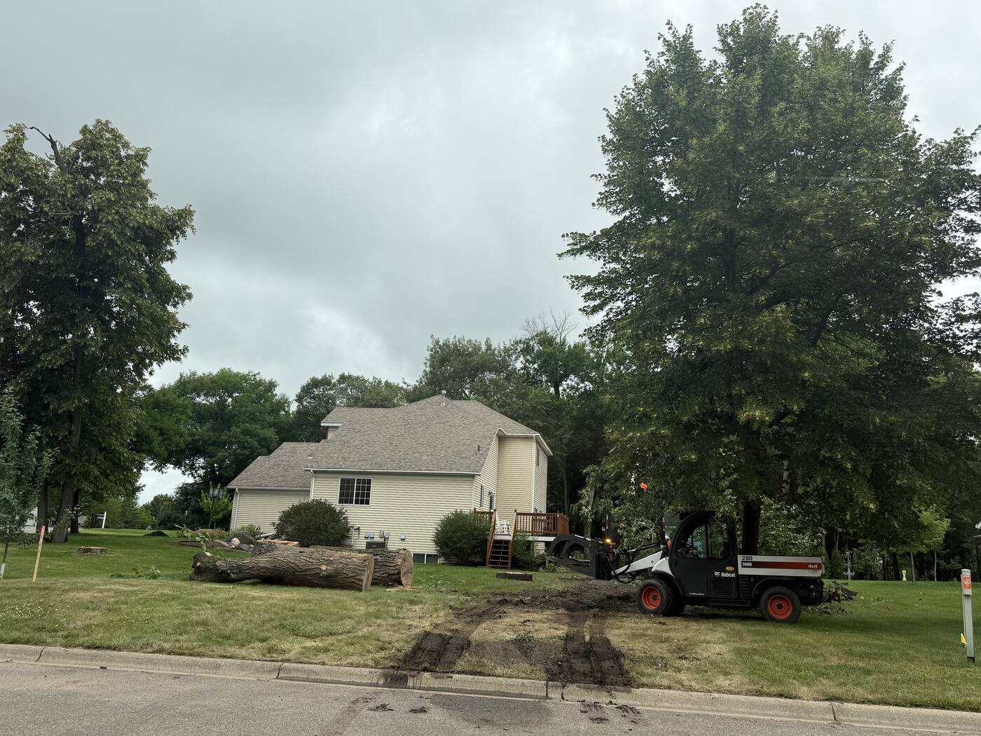 Hauling massive tree trunk sections — St. Joseph MN tree removal