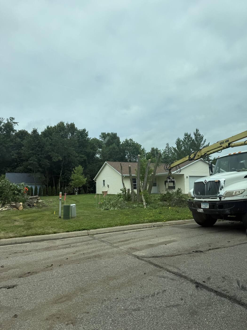 Grapple truck on site loading tree trunks — St. Joseph, MN tree removal
