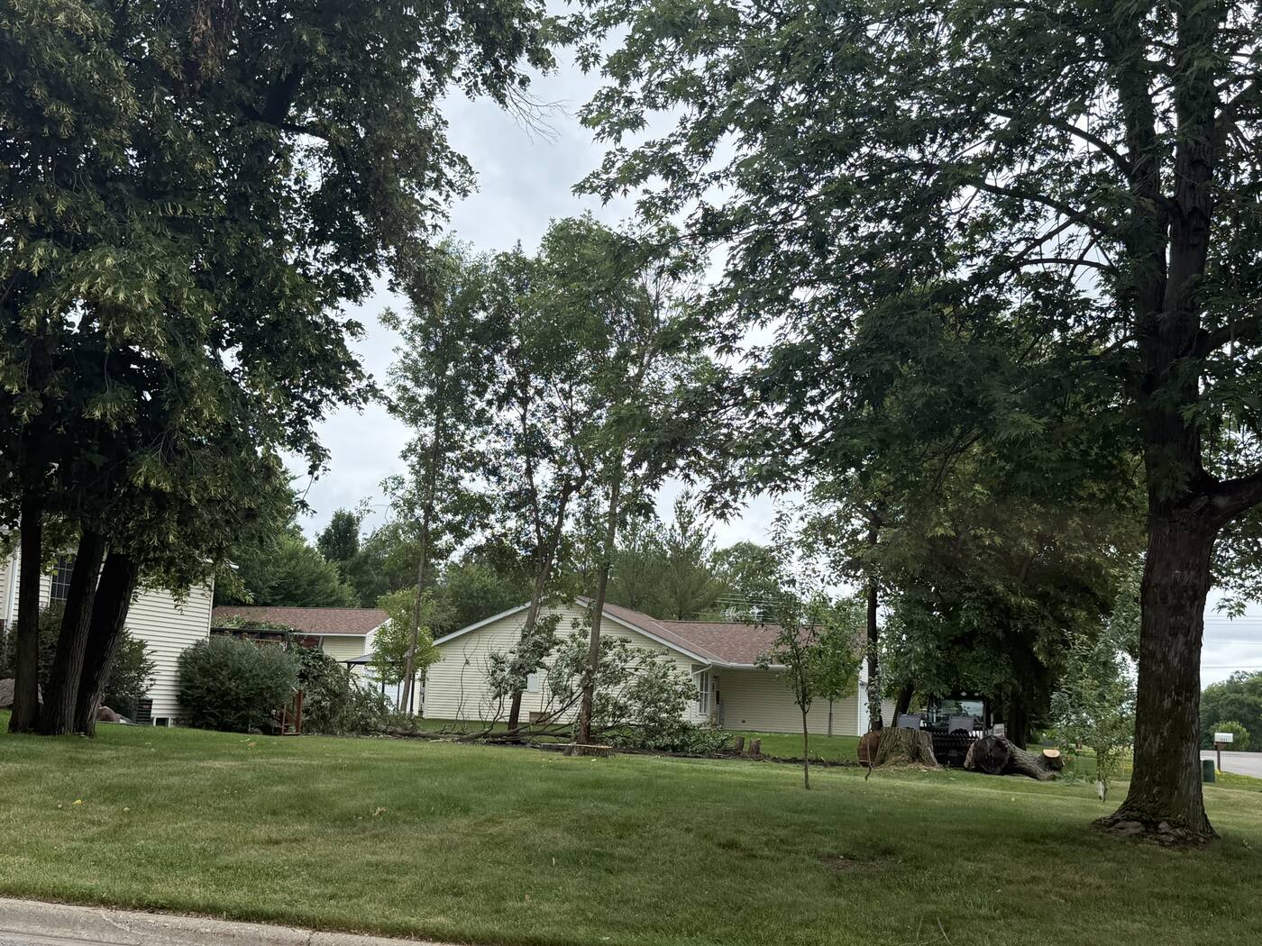Tree trunks staged in the yard for hauling — St. Joseph, MN